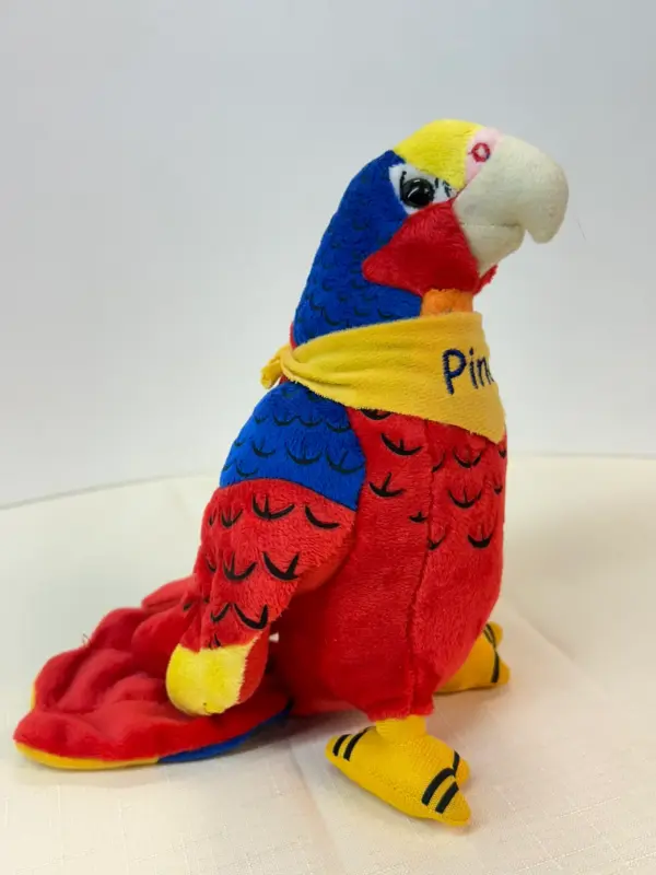 Papagei Pino